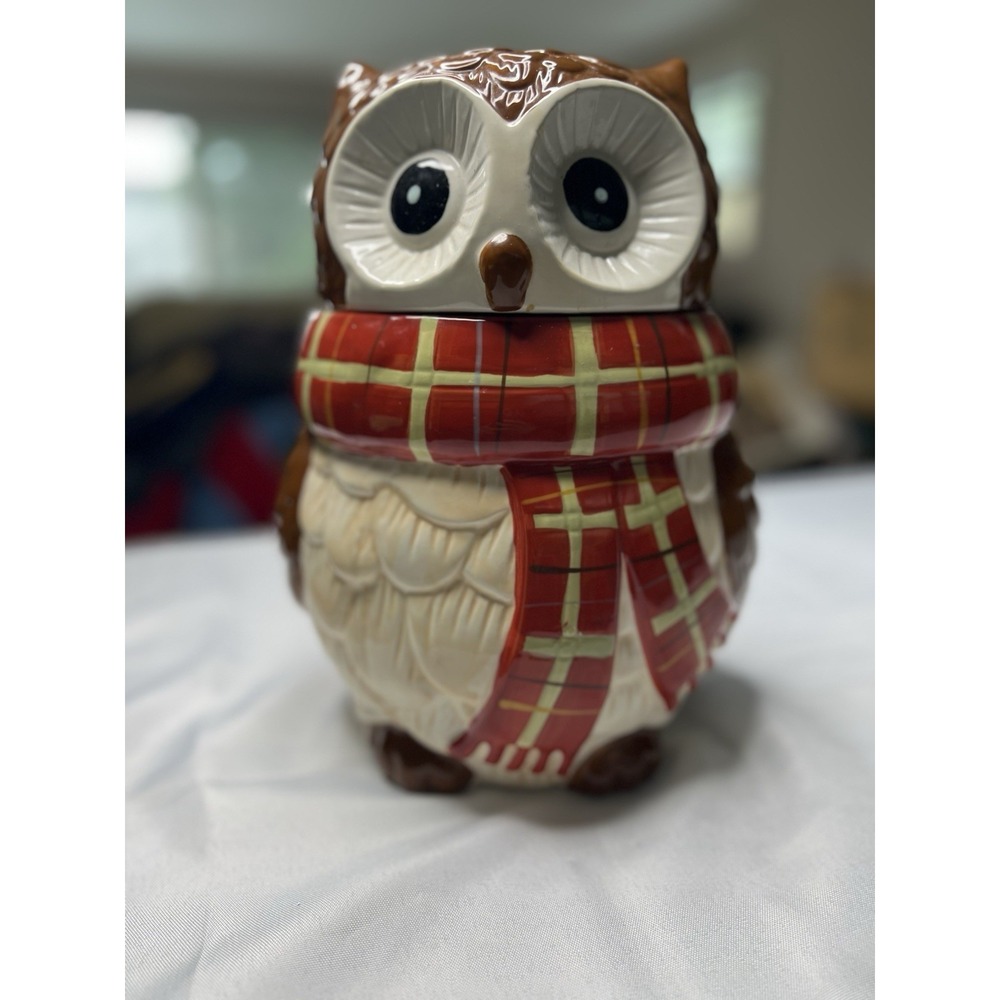 Pier‎ 1 Chilly Billy Owl Cookie Jar Red Plaid Scarf Hand Painted Dolomite EUC